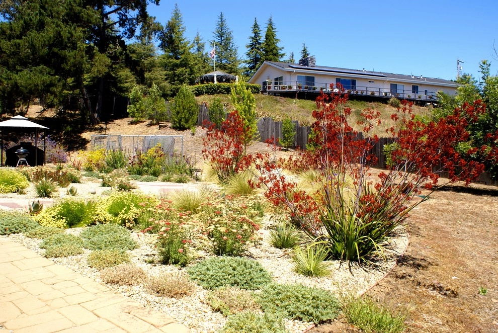 Corralitos by Deanna Foster Landscape Design - Photo 3