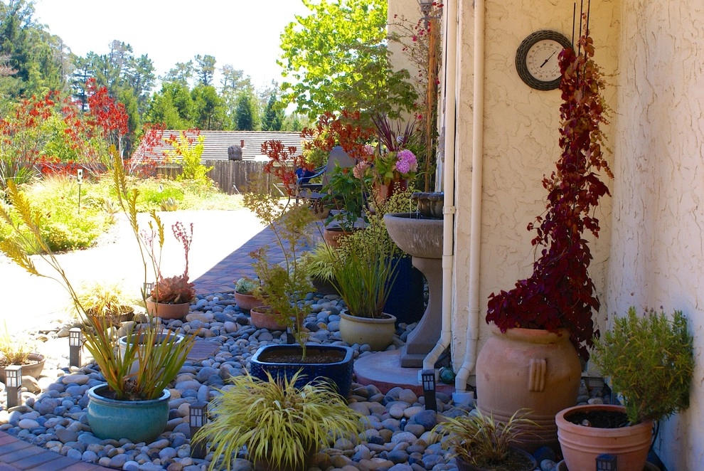 Corralitos by Deanna Foster Landscape Design - Photo 4