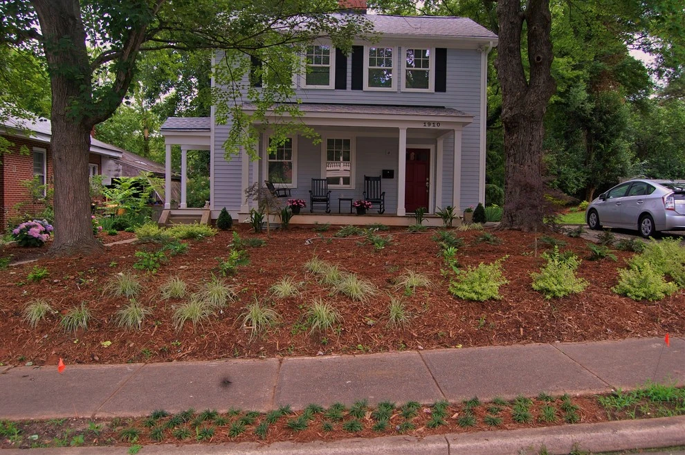 5 Points Makeover by Cat Valand Landscape Design - Photo 6