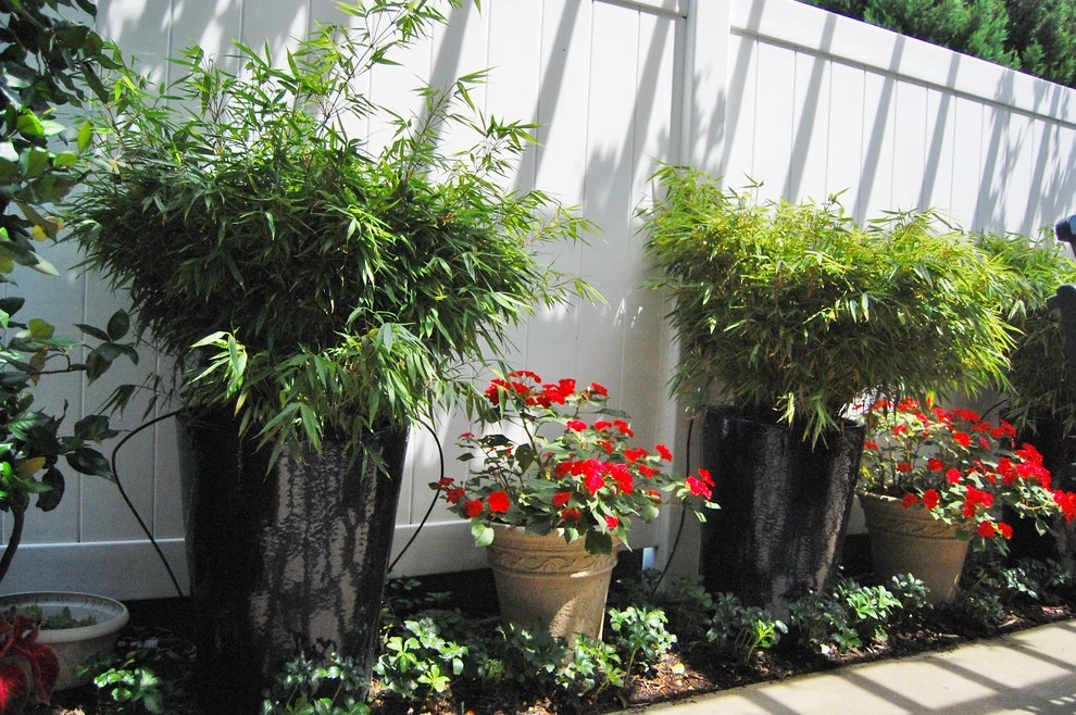 Townhouse Garden in Northeast Raleigh by Cat Valand Landscape Design - Photo 2