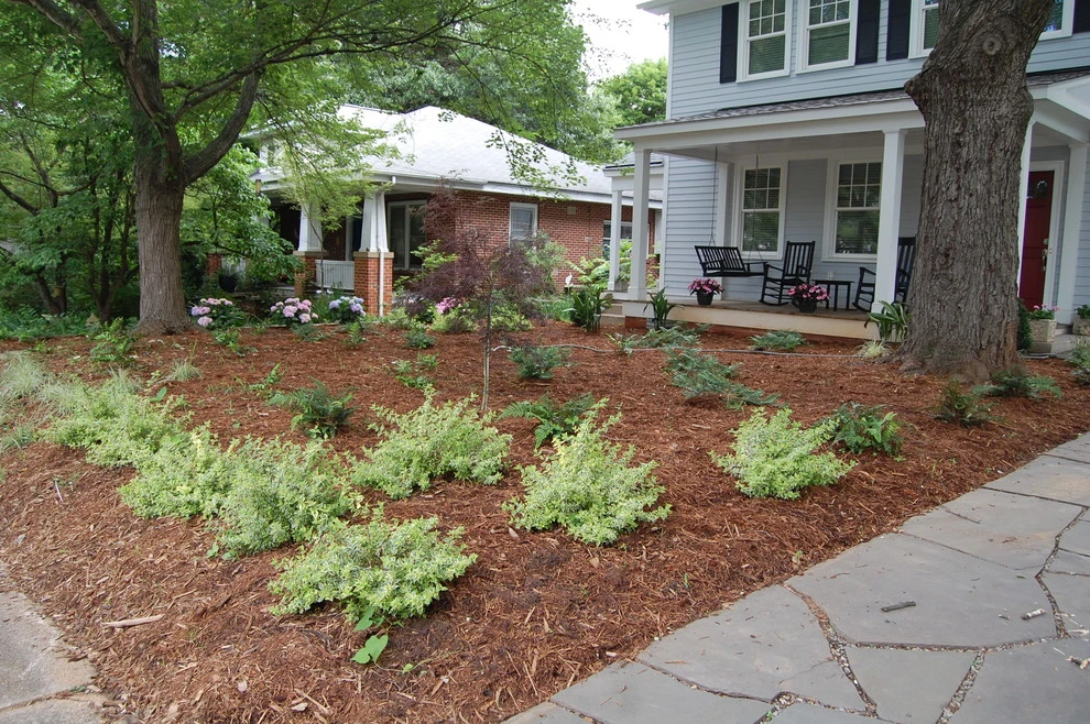 5 Points Makeover by Cat Valand Landscape Design - Photo 7