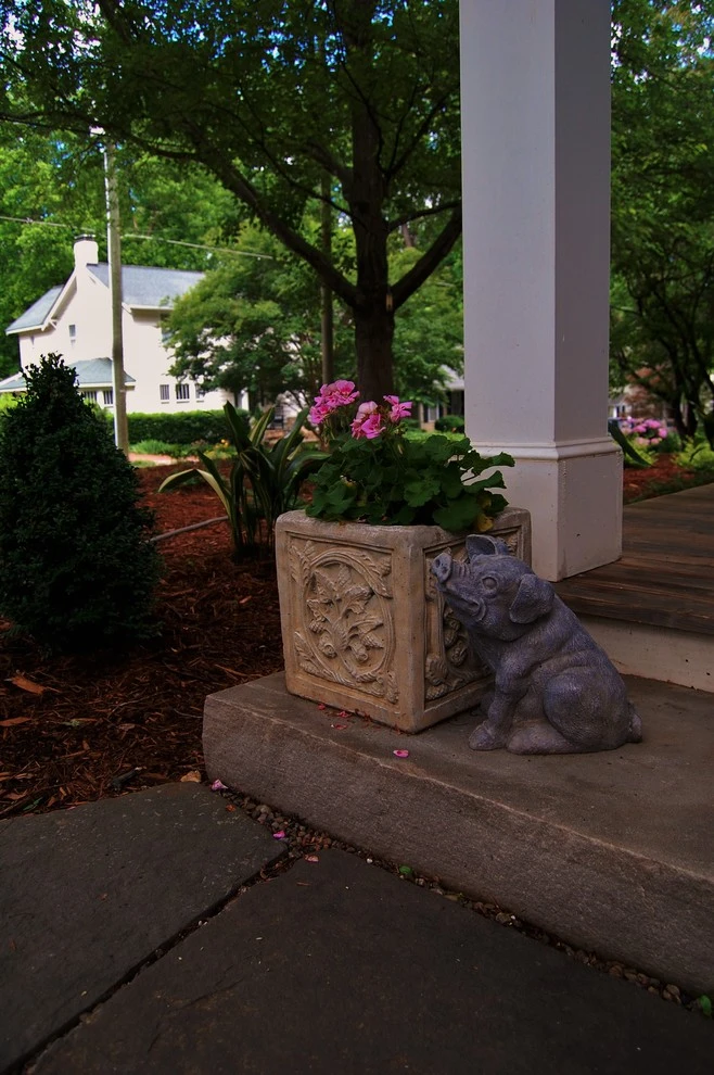 5 Points Makeover by Cat Valand Landscape Design - Photo 8