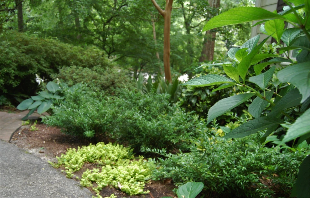 After Shots of Various Projects by Cat Valand Landscape Design - Photo 5