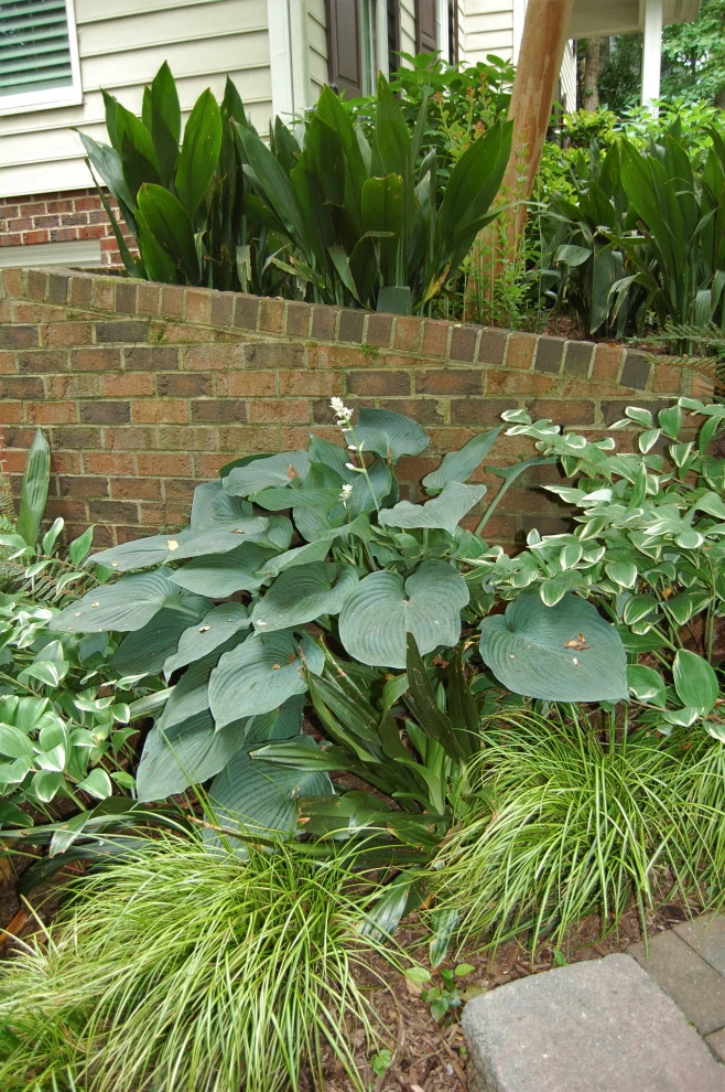 After Shots of Various Projects by Cat Valand Landscape Design - Photo 4