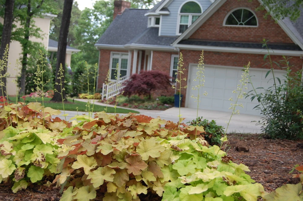 Lochmere in Cary by Cat Valand Landscape Design - Photo 2