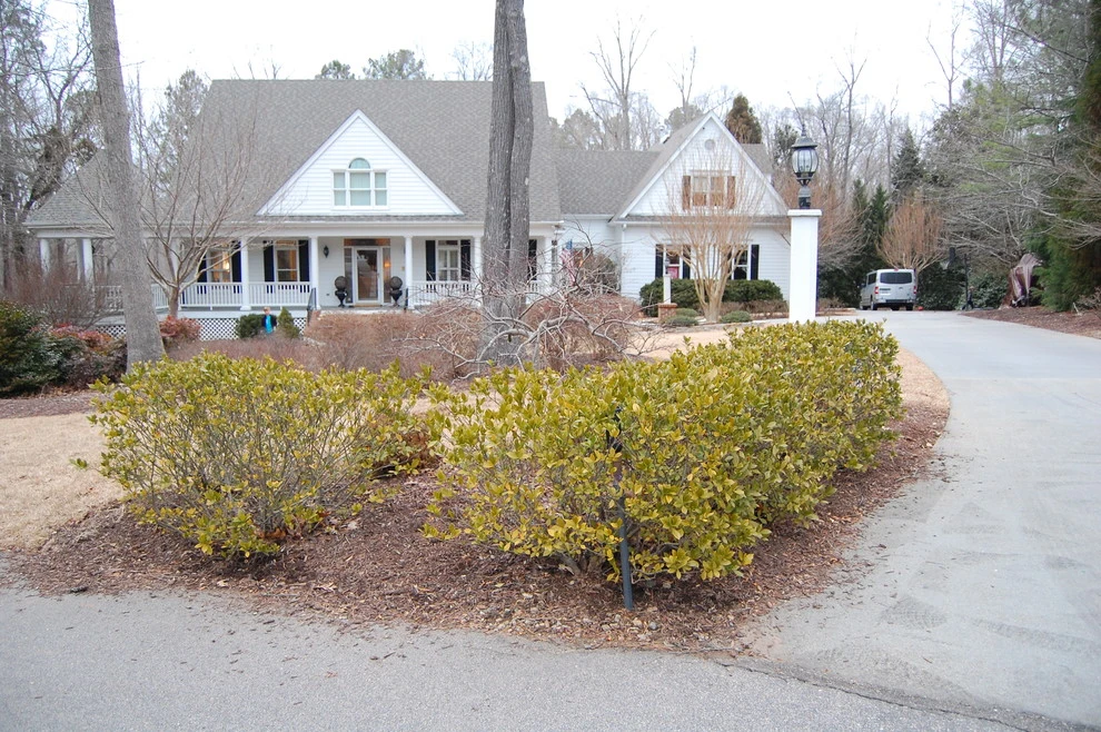 Front Makeover at Falls Lake by Cat Valand Landscape Design - Photo 2