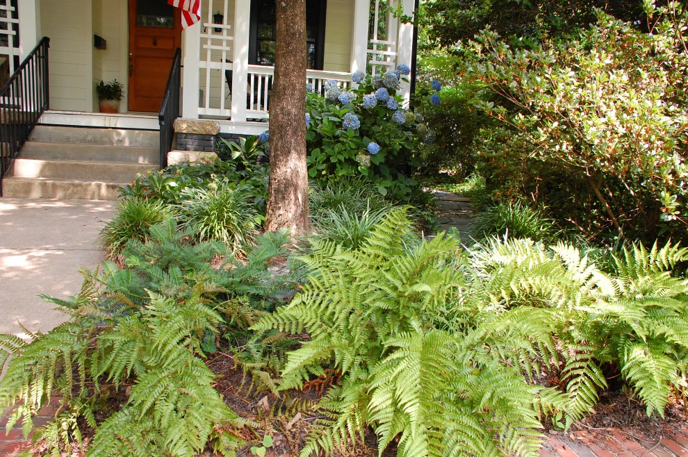 Village District Makeover by Cat Valand Landscape Design - Photo 5