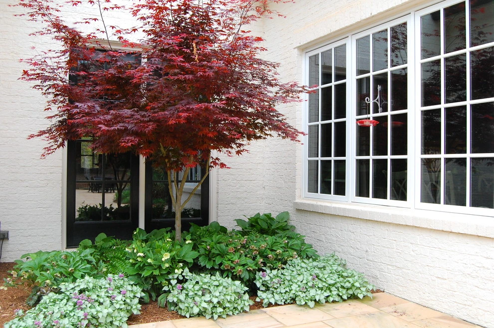 New Construction in North Raleigh by Cat Valand Landscape Design - Photo 6