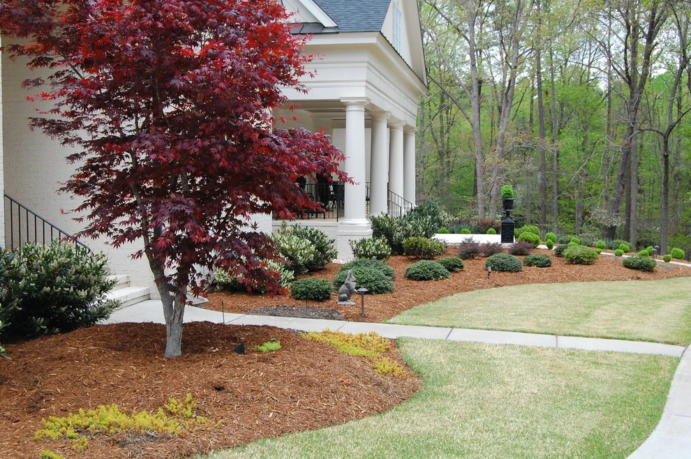 New Construction in North Raleigh by Cat Valand Landscape Design - Photo 3
