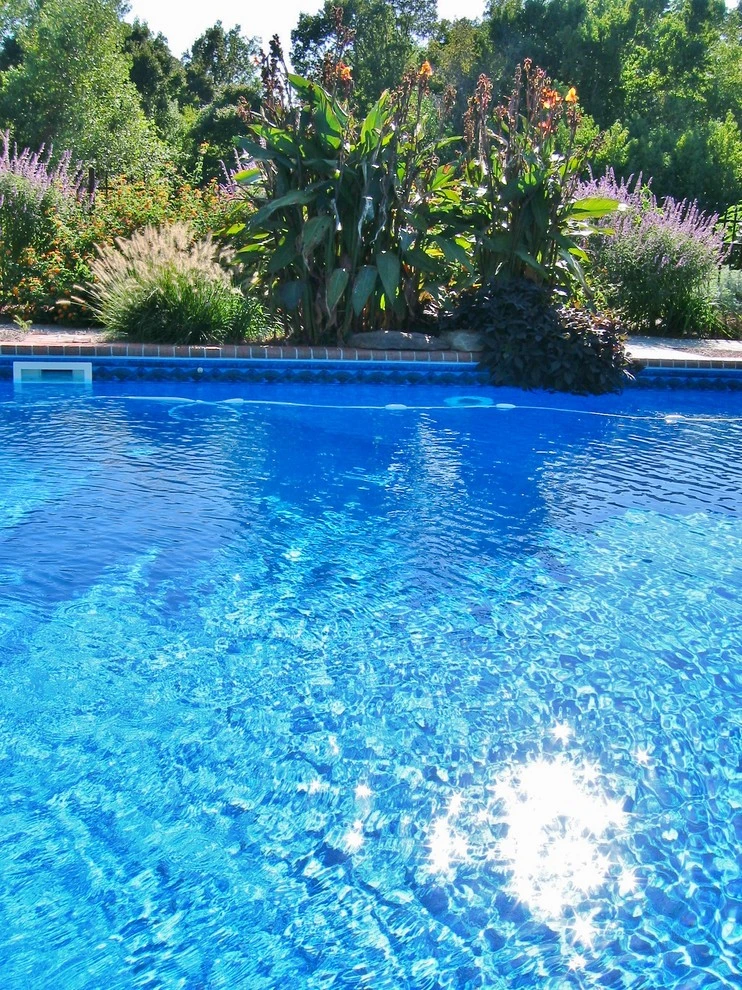 Pool in Wake Forest by Cat Valand Landscape Design - Photo 3