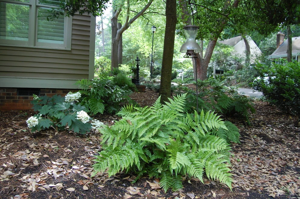 Oxford Hills Shade Garden by Cat Valand Landscape Design - Photo 3