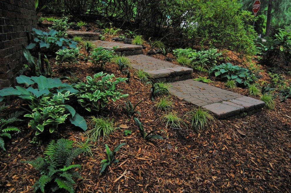 Beechridge Beauty by Cat Valand Landscape Design - Photo 6