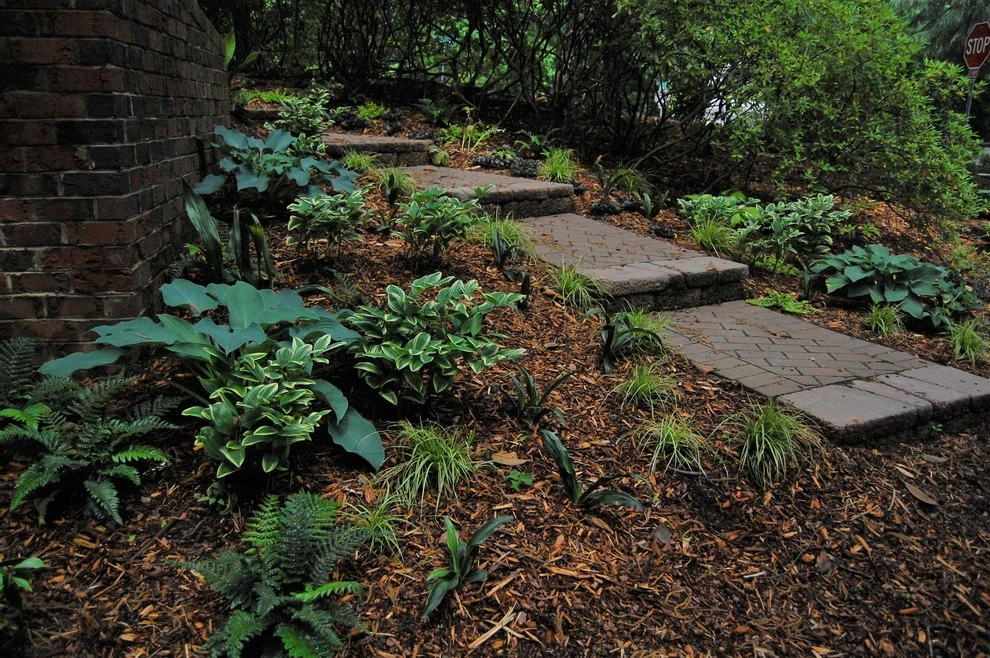 Beechridge Beauty by Cat Valand Landscape Design - Photo 3