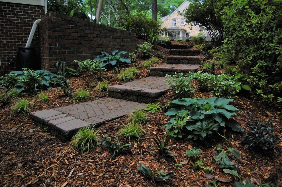 Beechridge Beauty by Cat Valand Landscape Design - Photo 4
