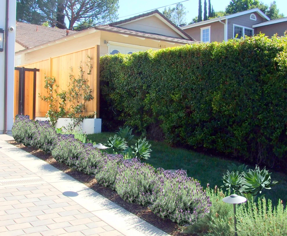 Sherman Oaks by CBL Landscapes - Photo 11