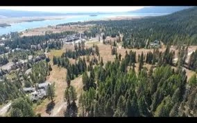 Tamarack Resort by Aqua Conservation - Photo 6
