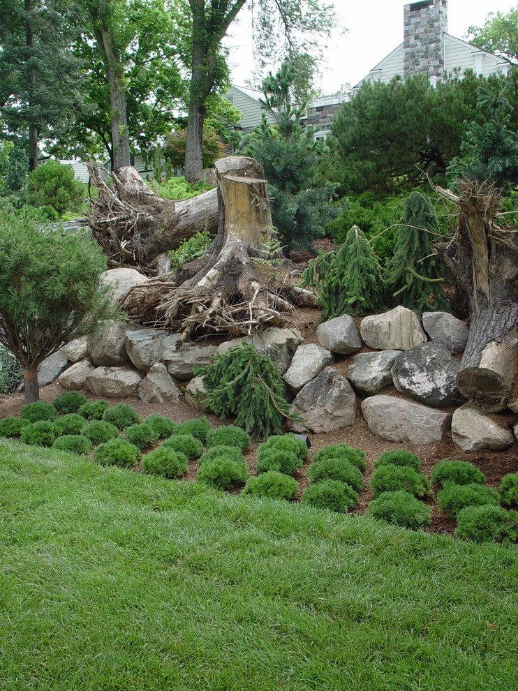 Stumpery Project by Deborah Silver And Co Inc - Photo 10