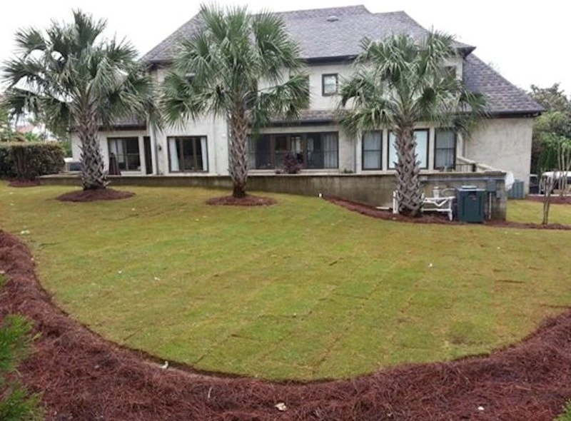 Chandler Landscapes, Inc. - Photo 7