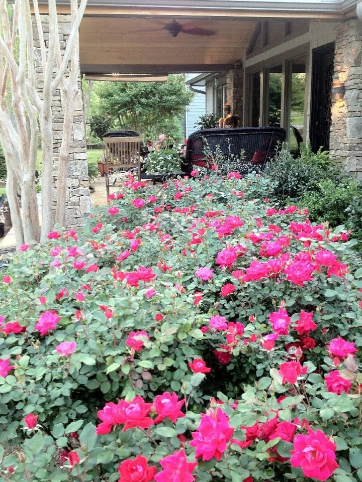 Chandler Landscapes, Inc. - Photo 2