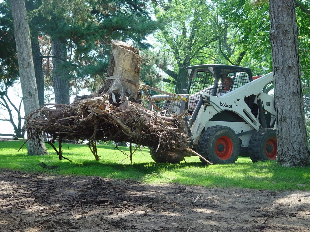 Stumpery Project by Deborah Silver And Co Inc - Photo 11