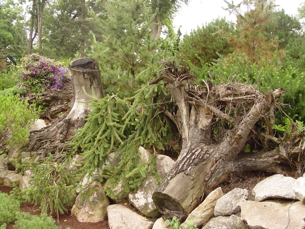 Stumpery Project by Deborah Silver And Co Inc - Photo 2