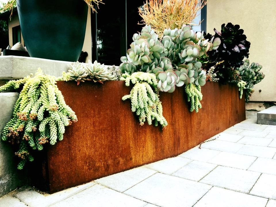 Talmadge - Modern Design by Deep Rooted Designs, Inc. - Photo 13