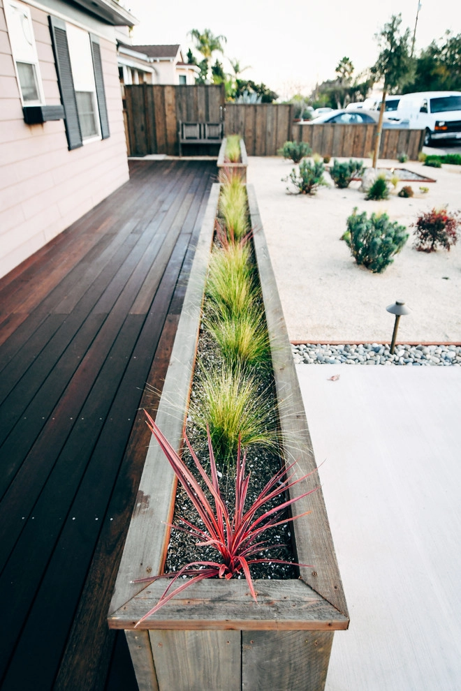 North Park Craftsman Xeriscape by Deep Rooted Designs, Inc. - Photo 17