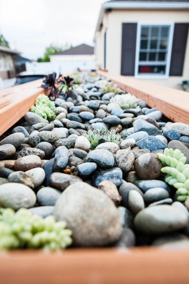 49th and Alma by Deep Rooted Designs, Inc. - Photo 10
