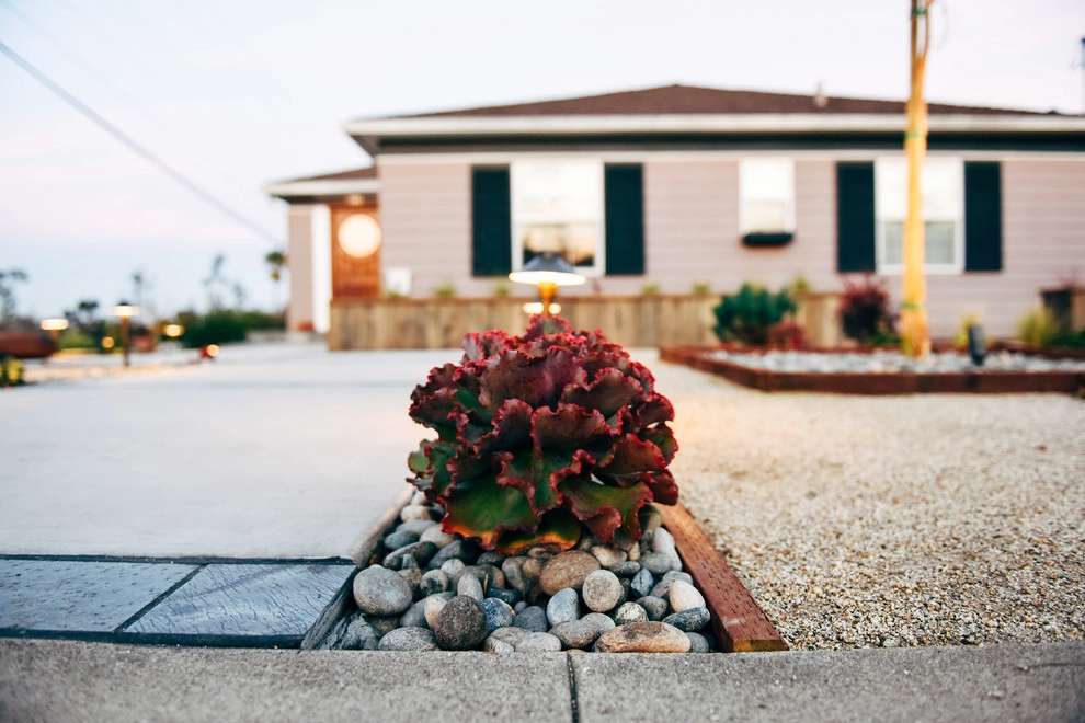 North Park Craftsman Xeriscape by Deep Rooted Designs, Inc. - Photo 23