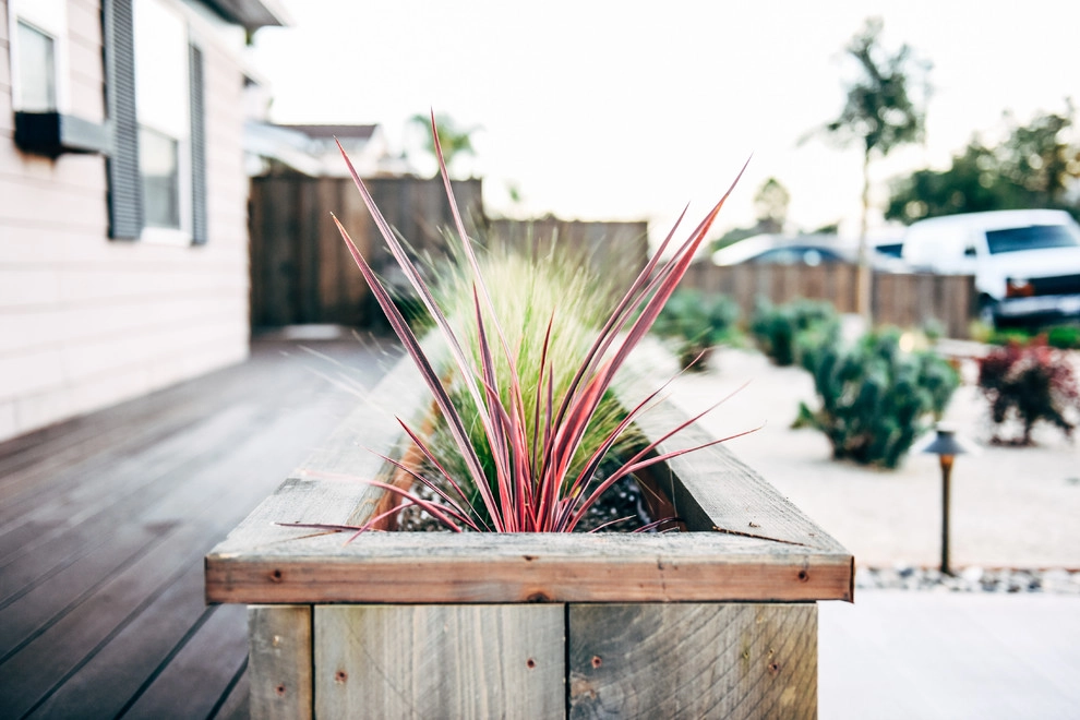 North Park Craftsman Xeriscape by Deep Rooted Designs, Inc. - Photo 12