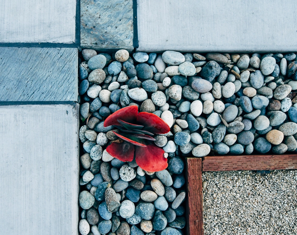 North Park Craftsman Xeriscape by Deep Rooted Designs, Inc. - Photo 2