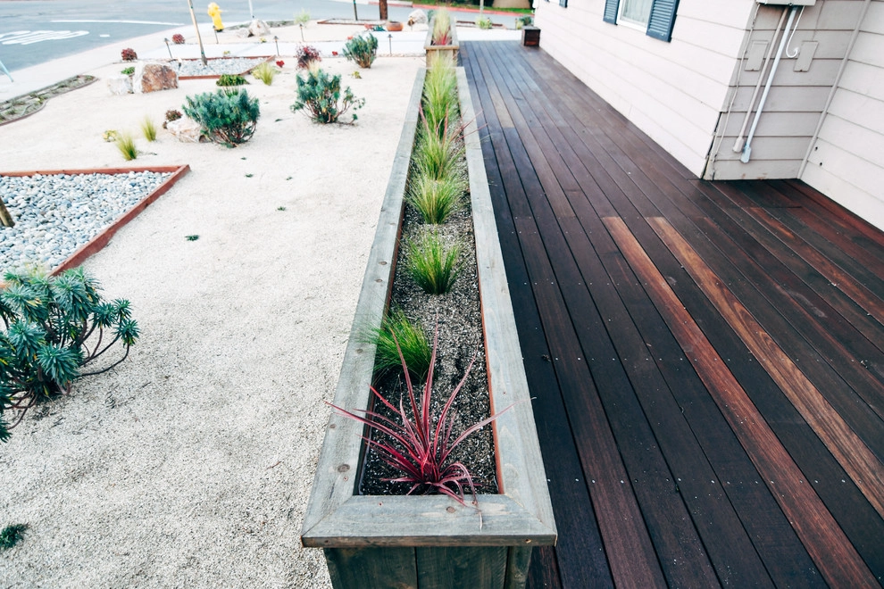 North Park Craftsman Xeriscape by Deep Rooted Designs, Inc. - Photo 15