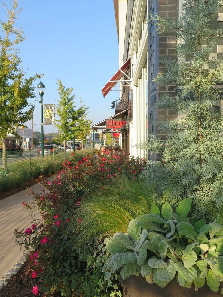 Pike & Rose by CLINTON+RIES Landscape Architects, PC - Photo 7