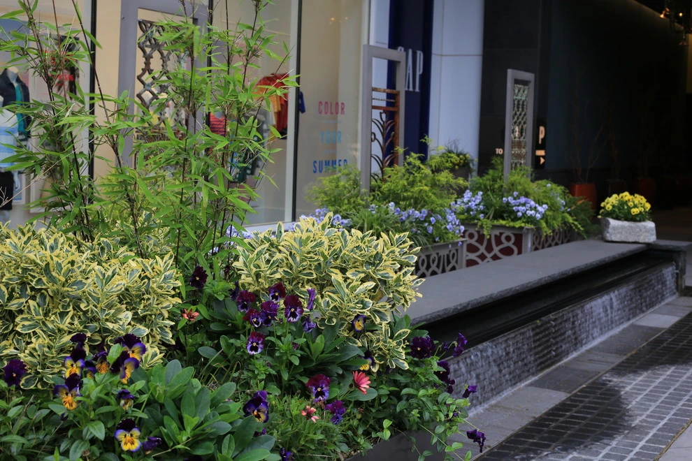 Pike & Rose by CLINTON+RIES Landscape Architects, PC - Photo 20