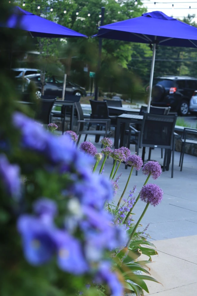 Pike & Rose by CLINTON+RIES Landscape Architects, PC - Photo 12