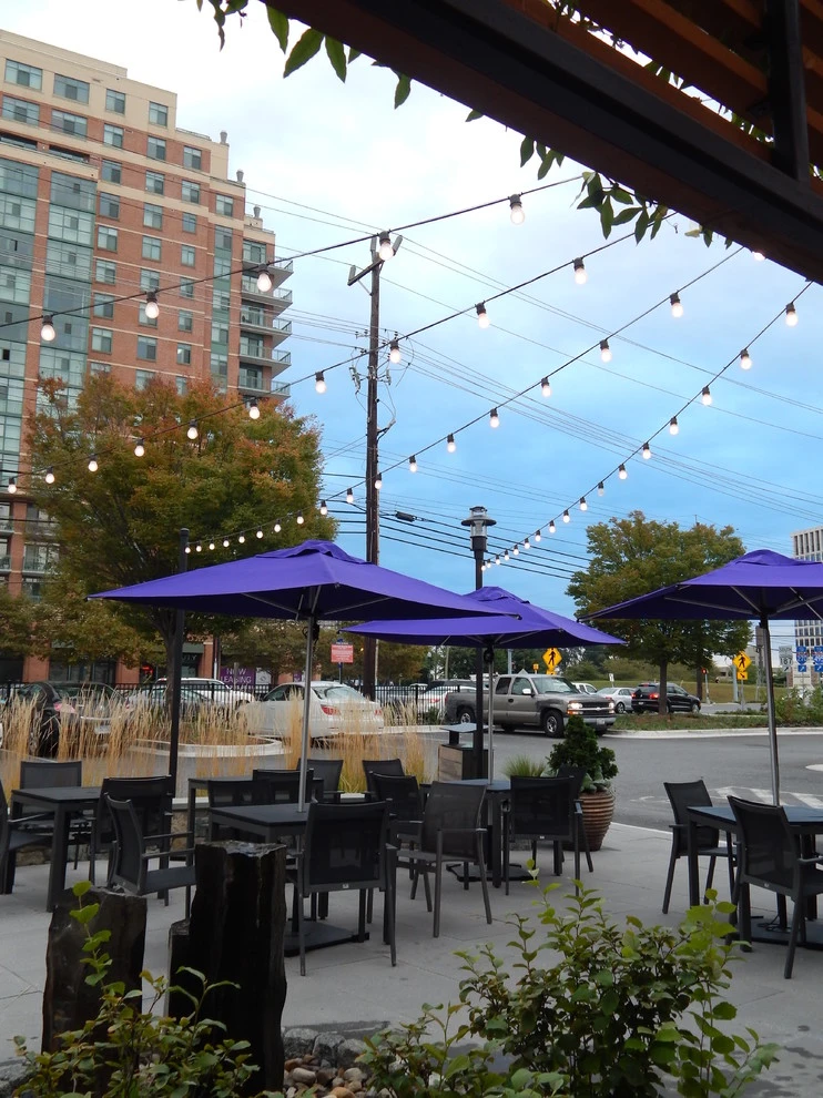 Pike & Rose by CLINTON+RIES Landscape Architects, PC - Photo 13