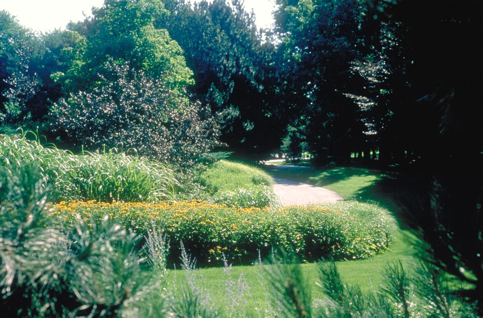Planting Gone Wild by CLINTON+RIES Landscape Architects, PC - Photo 6