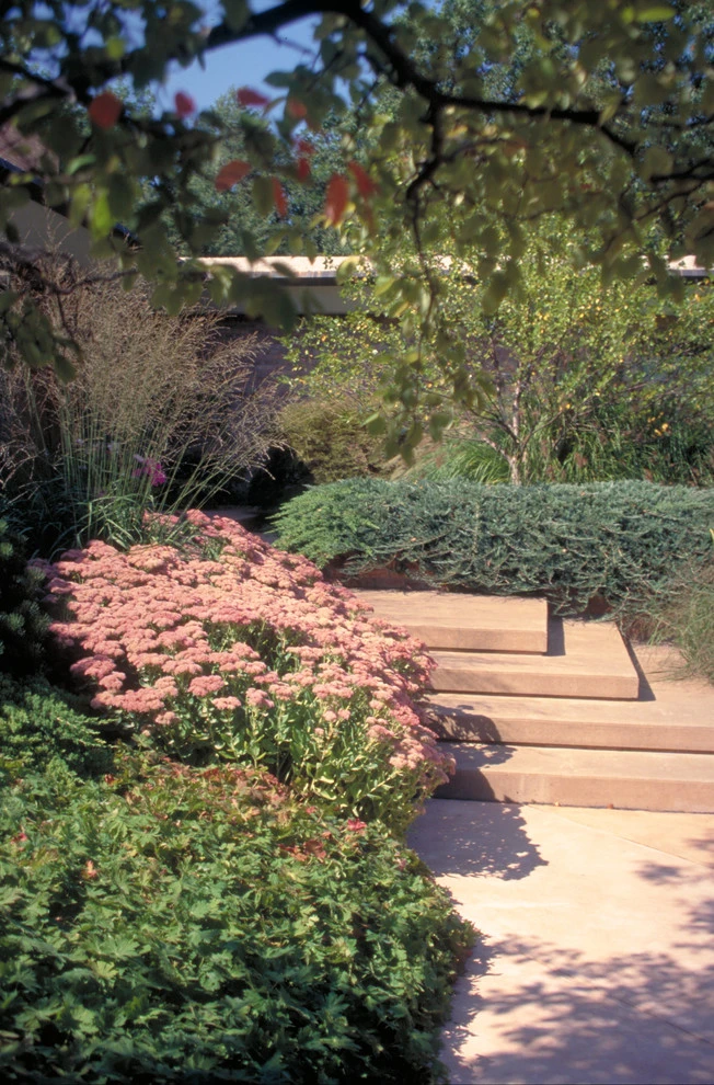 Planting Gone Wild by CLINTON+RIES Landscape Architects, PC - Photo 7
