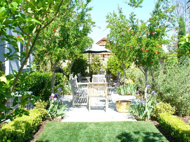 Mesquite by Denise At Agua Dulce Gardens - Photo 3
