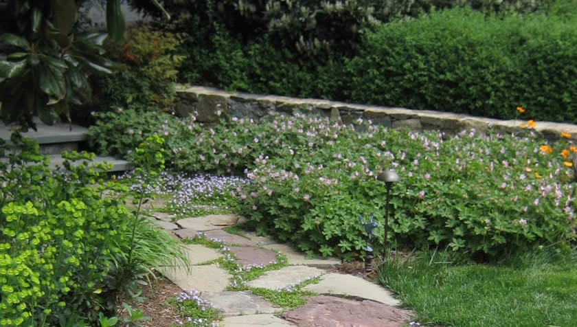 Virginia Entry Garden by CLINTON+RIES Landscape Architects, PC - Photo 12