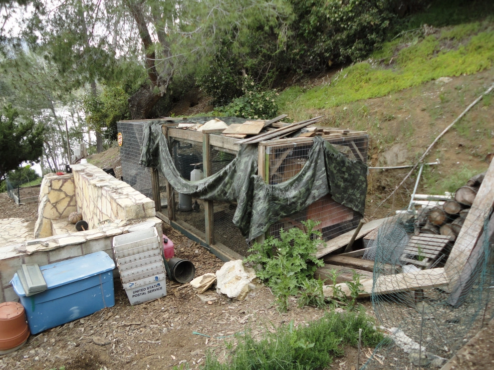 Denise At Agua Dulce Gardens - Photo 12