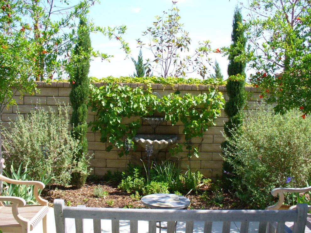 Mesquite by Denise At Agua Dulce Gardens - Photo 4