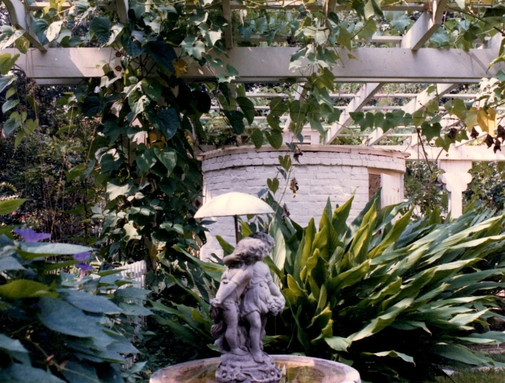 Cynthia Cash, Landscape Architect - Photo 3