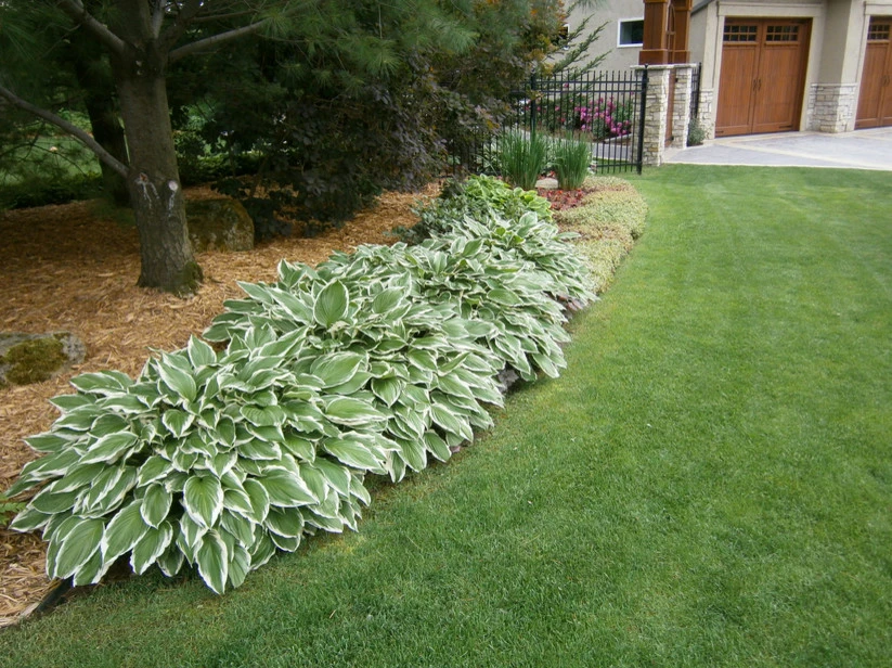 Attractive Landscape LLC - Photo 6