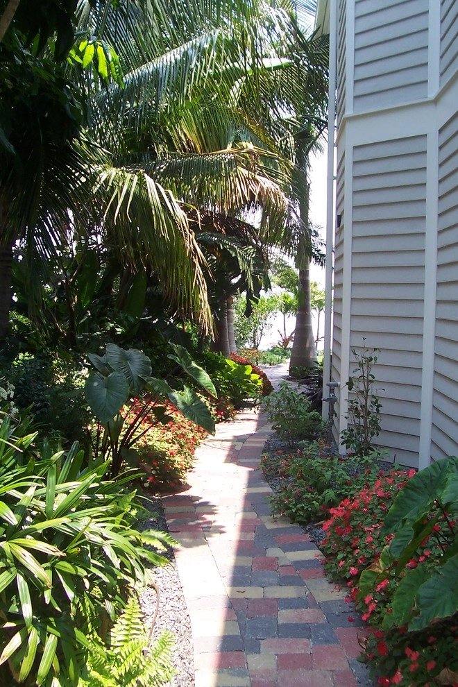 Lido Key Coastal style landscape with lagoon pool by Design Scapes - Photo 12