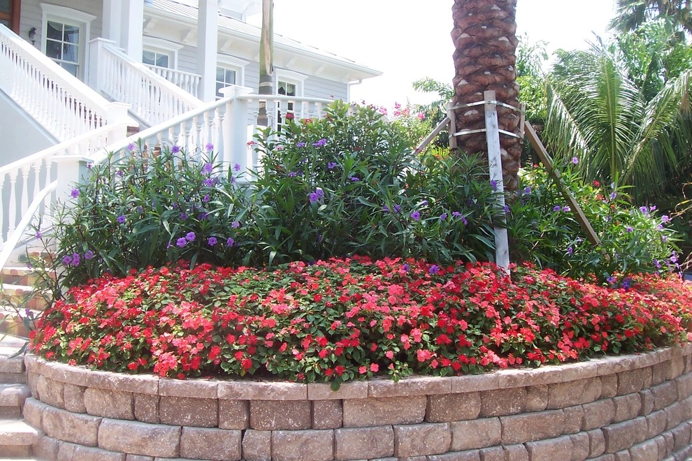 Lido Key Coastal style landscape with lagoon pool by Design Scapes - Photo 20