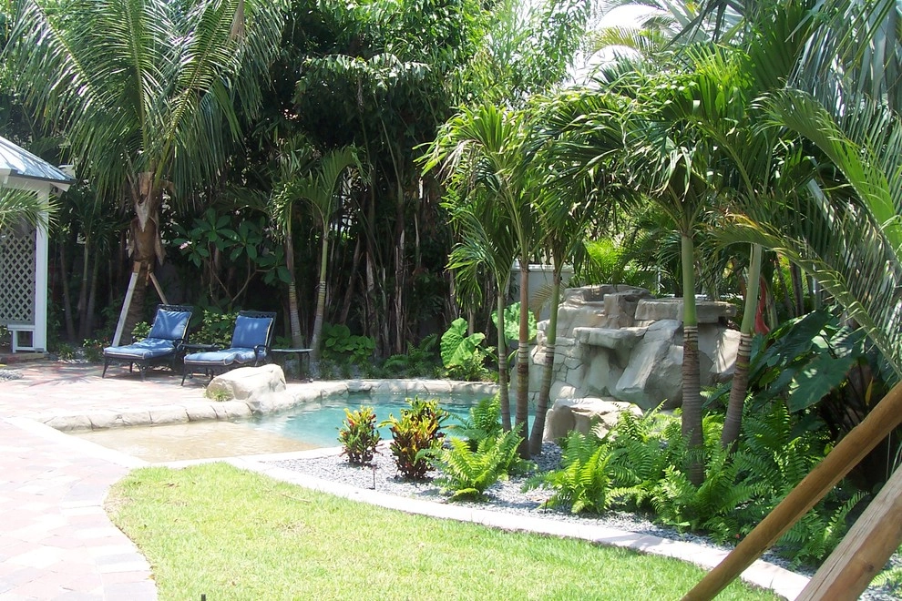 Lido Key Coastal style landscape with lagoon pool by Design Scapes - Photo 14