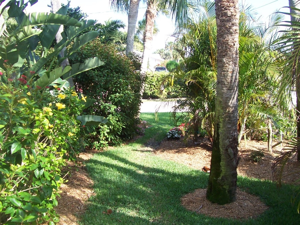 Longboat Key canal front by Design Scapes - Photo 5