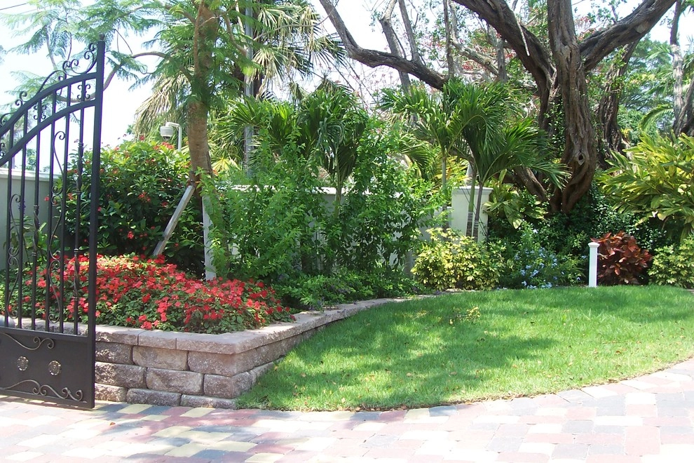 Lido Key Coastal style landscape with lagoon pool by Design Scapes - Photo 17