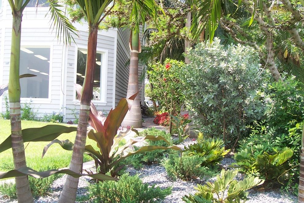Lido Key Coastal style landscape with lagoon pool by Design Scapes - Photo 3